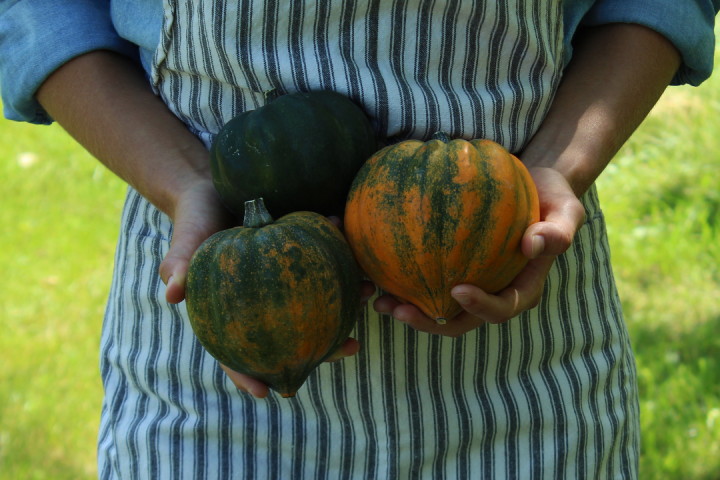Peneda-Gerês Farm-to-Table tour