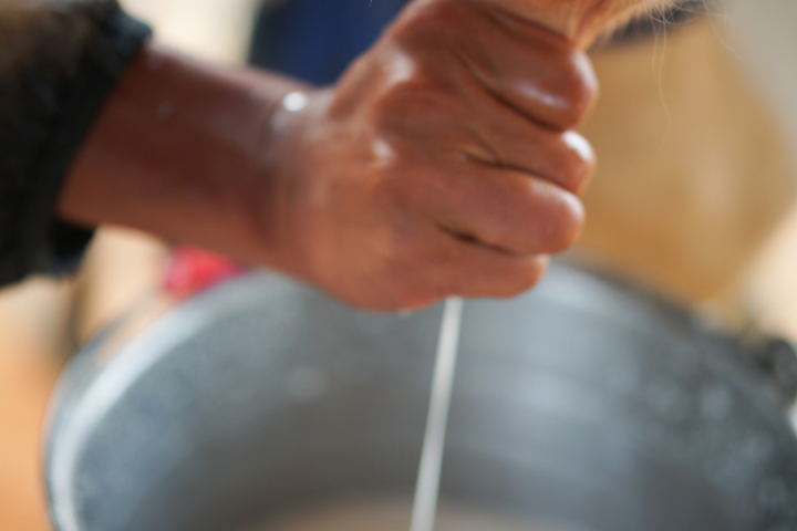 Dairy farm tour azores island