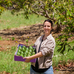 avocado farm tour portugal