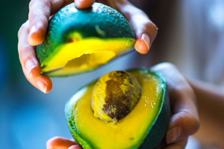 avocado farm tour portugal