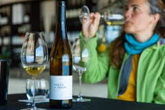 a person sitting at a table with wine glasses
