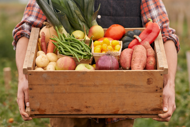 veggie food tour in ecofarm