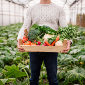 veggie food tour in ecofarm