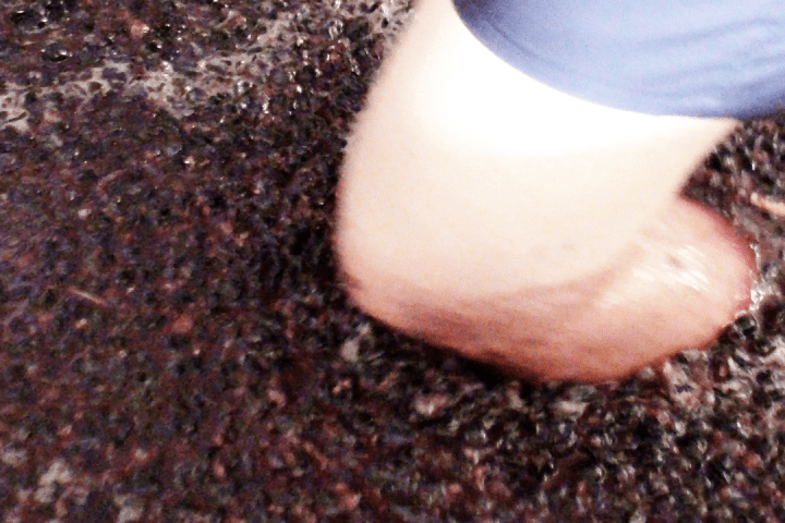 Douro Valley Grape Harvest