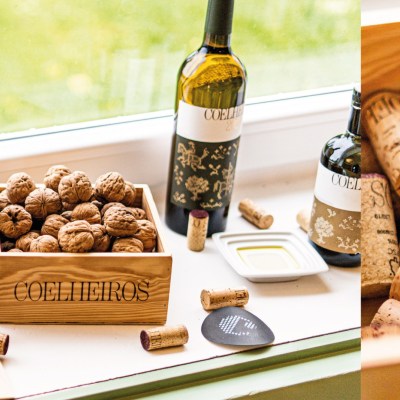 cork and terroir wine tasting