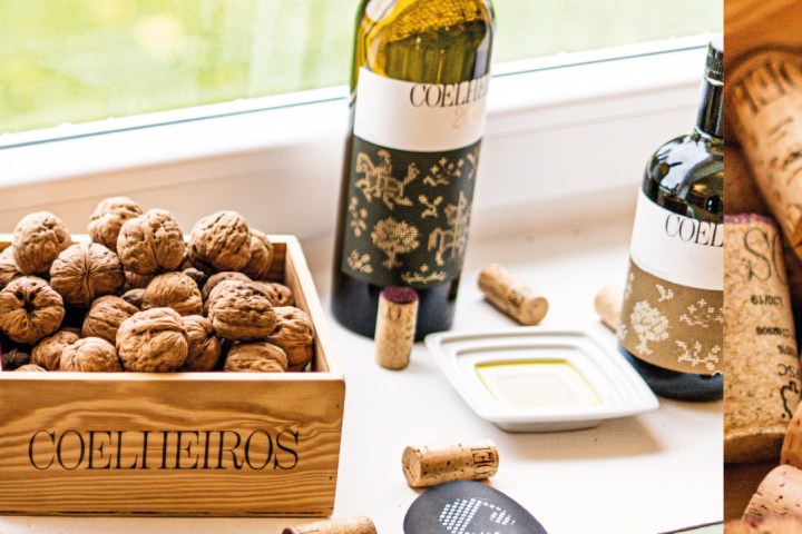 cork and terroir wine tasting