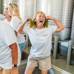Algarve grapes harvest