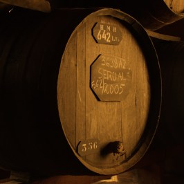 madeira wine tour