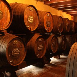 madeira wine tour