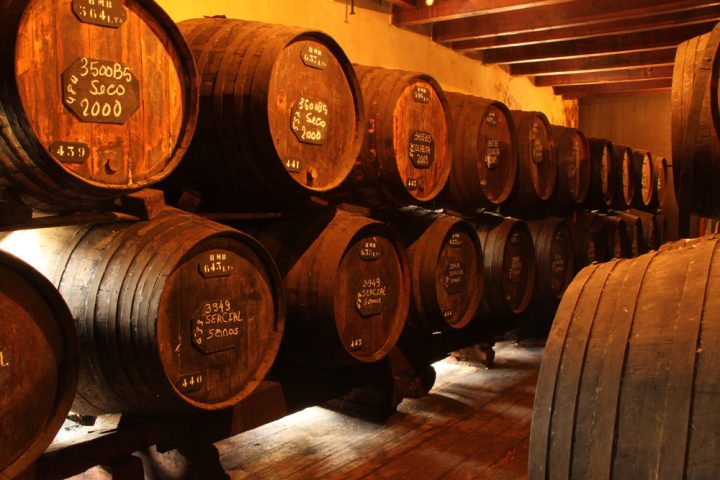 madeira wine tour