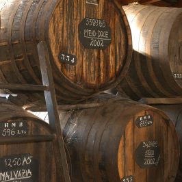 madeira wine tour