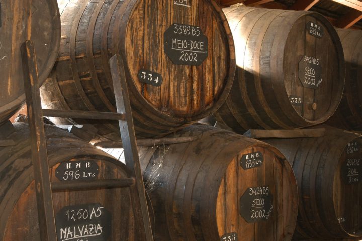 madeira wine tour