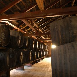 madeira wine tour