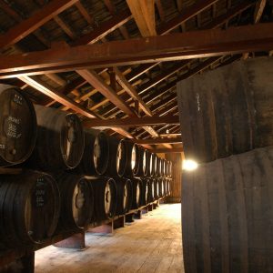 madeira wine tour