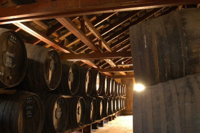 madeira wine tour