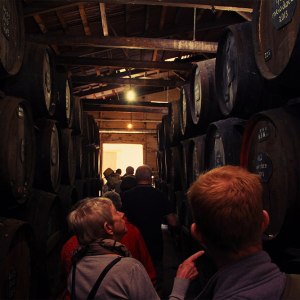 madeira wine tour