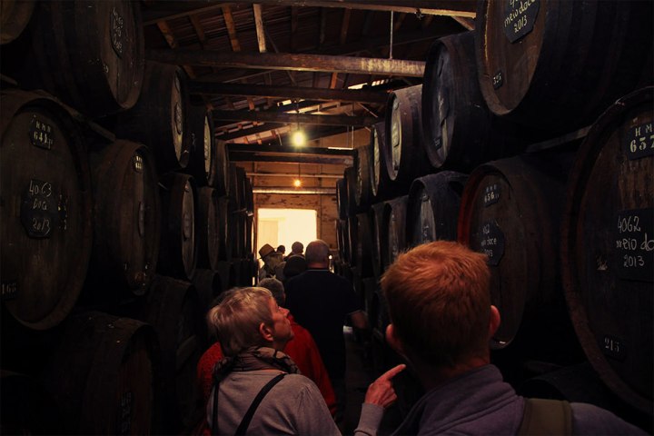madeira wine tour