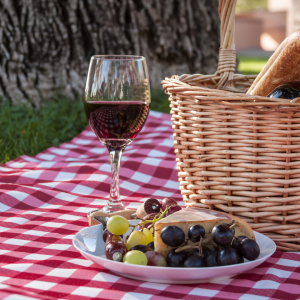 Douro picnic tour