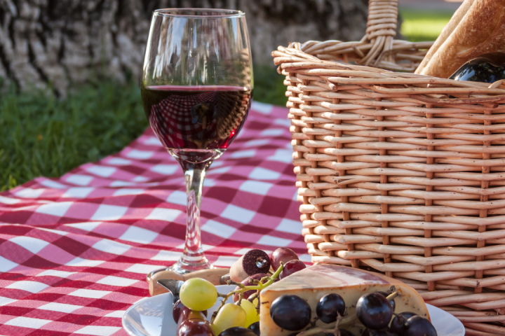 Douro picnic tour