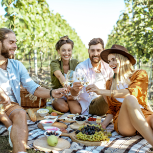 Douro picnic tour