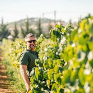 wine tasting tour algarve