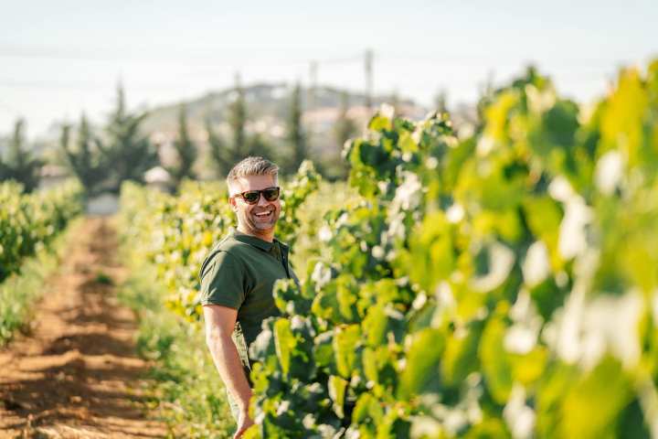 wine tasting tour algarve