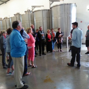 wine tasting tour algarve