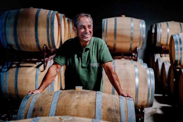 wine tasting tour algarve