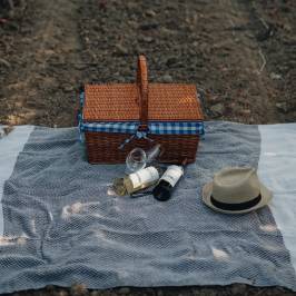 Picnic in the Vineyards