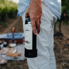 Picnic in the Vineyards