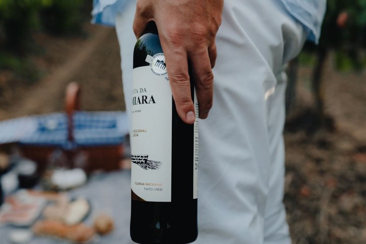 Picnic in the Vineyards