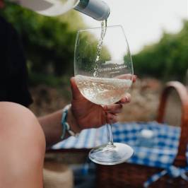 Picnic in the Vineyards