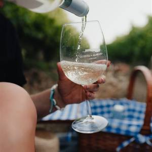 Picnic in the Vineyards