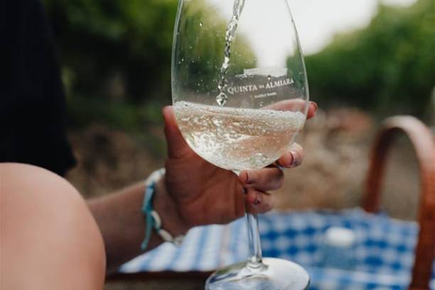 Picnic in the Vineyards