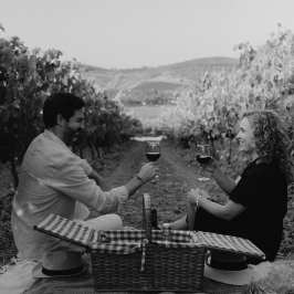 Picnic in the Vineyards