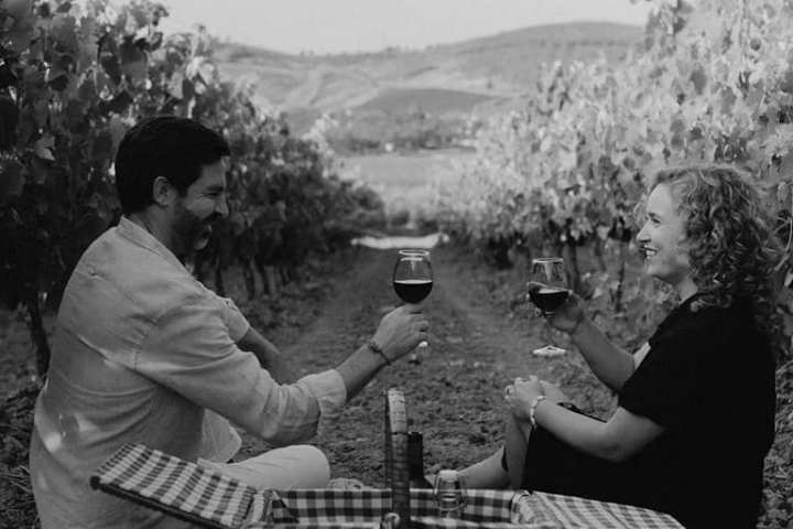 Picnic in the Vineyards