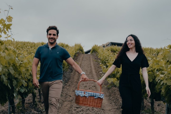 Picnic in the Vineyards