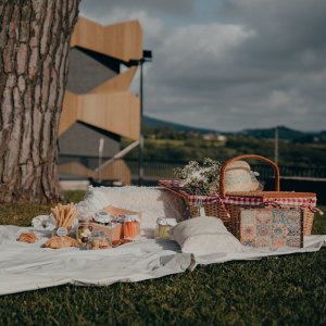 Picnic in the Vineyards
