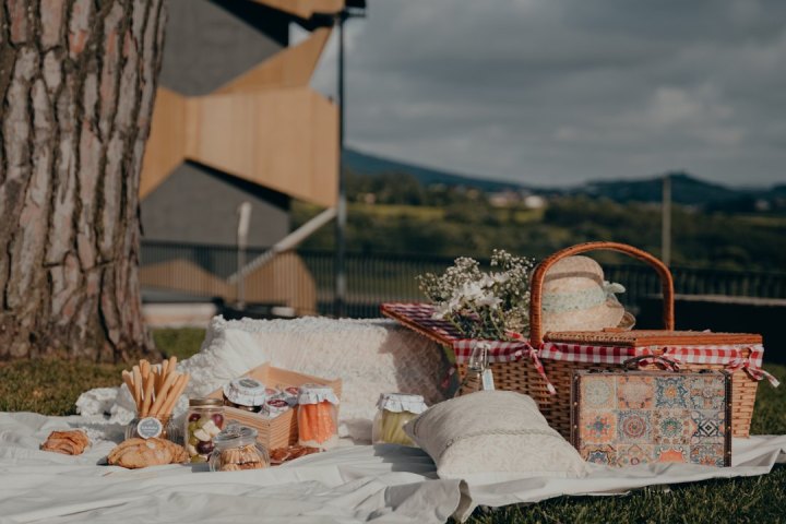 Picnic in the Vineyards