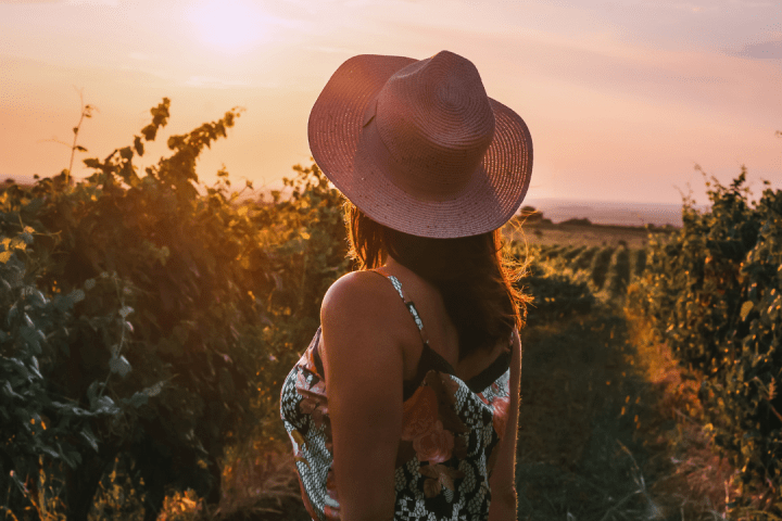 Vineyard Dinner Under The Stars