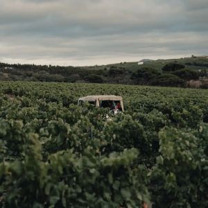 wine jeep tour
