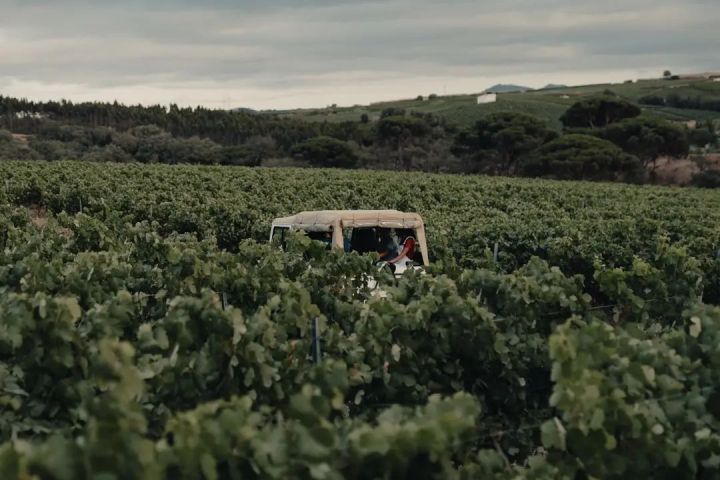 wine jeep tour