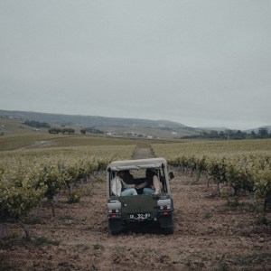 wine jeep tour