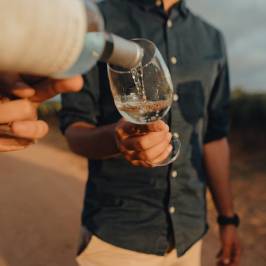 wine tasting close to lisbon