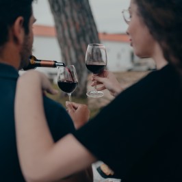 wine tasting close to lisbon