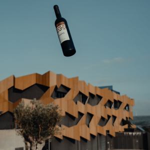 wine tasting close to lisbon