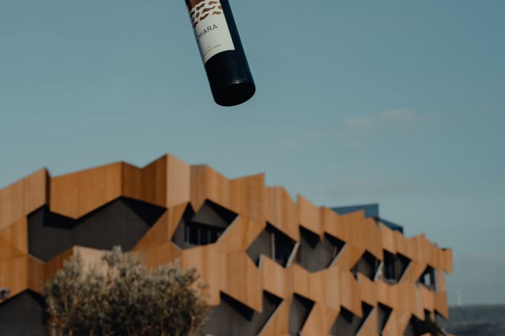 wine tasting close to lisbon