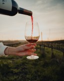 wine tasting close to lisbon