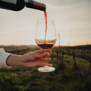 wine tasting close to lisbon