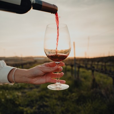 wine tasting close to lisbon